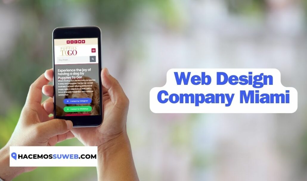 Web Design Company Miami